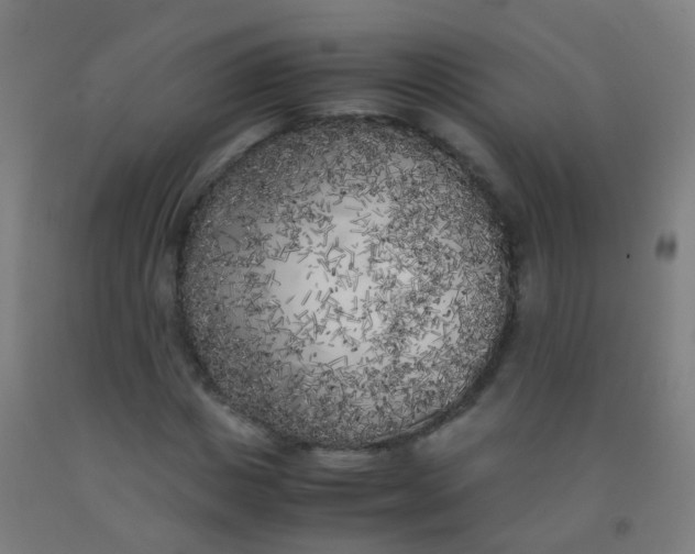 X0000092330825200709281424