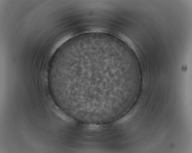 X0000092330827200709281424