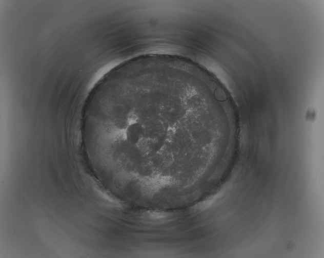 X0000092330829200709281424