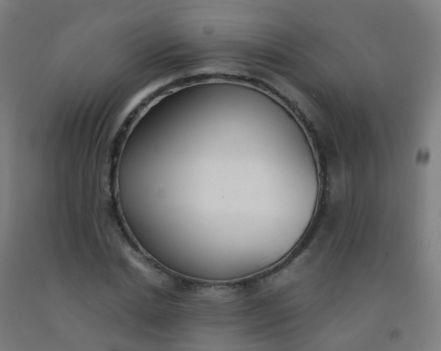 X0000092330830200709281424