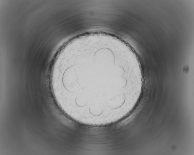 X0000092330832200709281424
