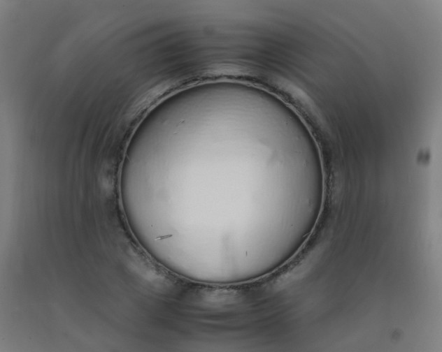 X0000092330833200709281424