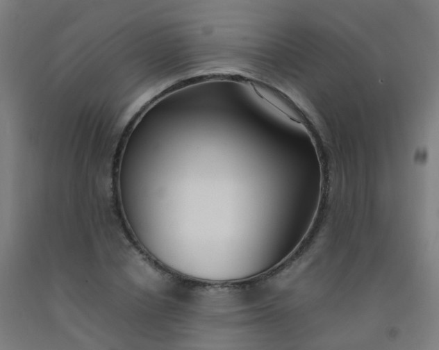 X0000092330834200709281424