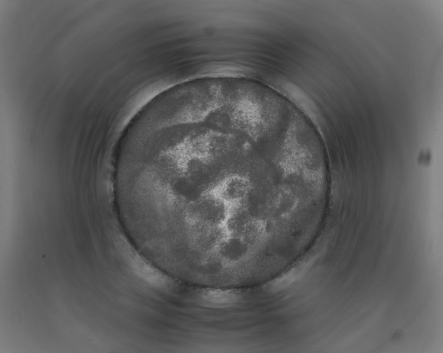 X0000092330835200709281424