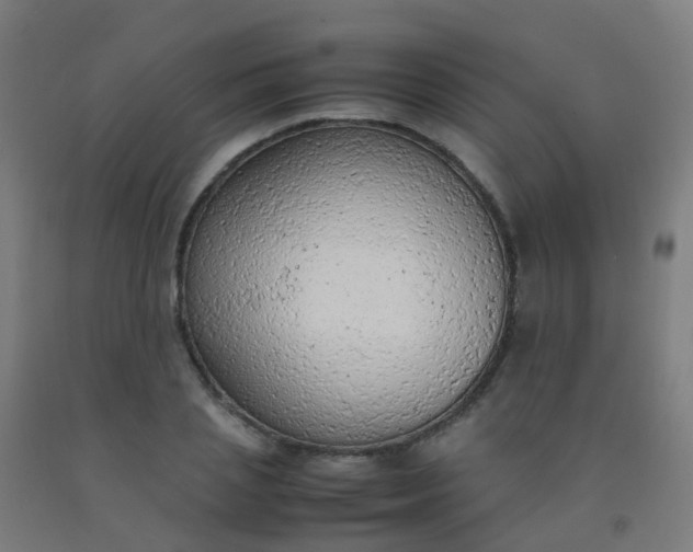 X0000092330837200709281425