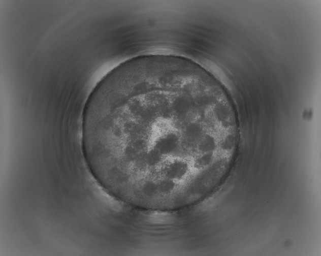 X0000092330839200709281425