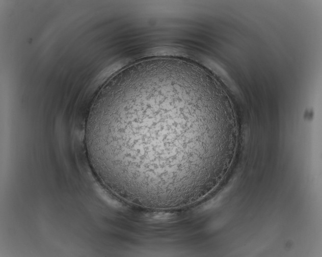 X0000092330841200709281425