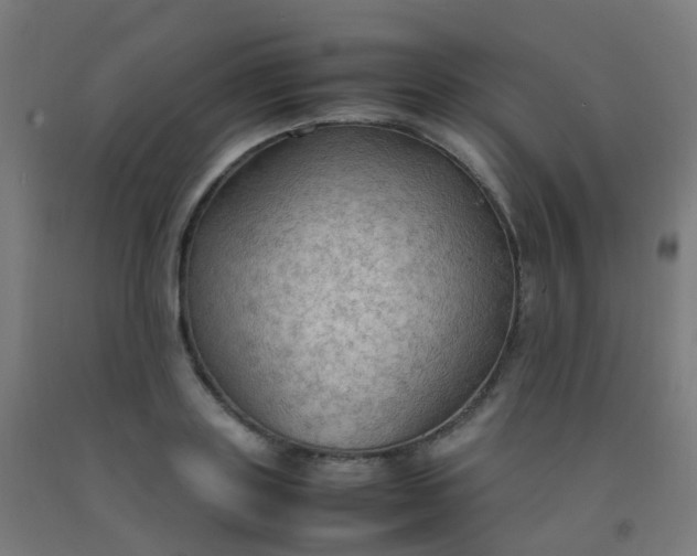 X0000092330843200709281425