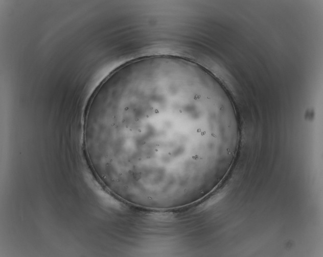 X0000092330844200709281425