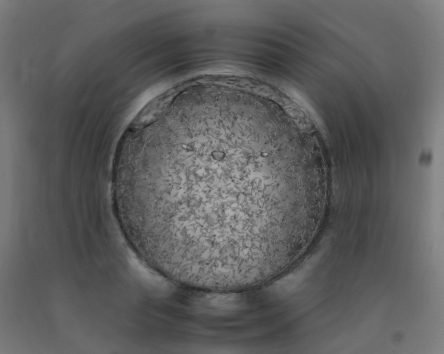 X0000092330845200709281425