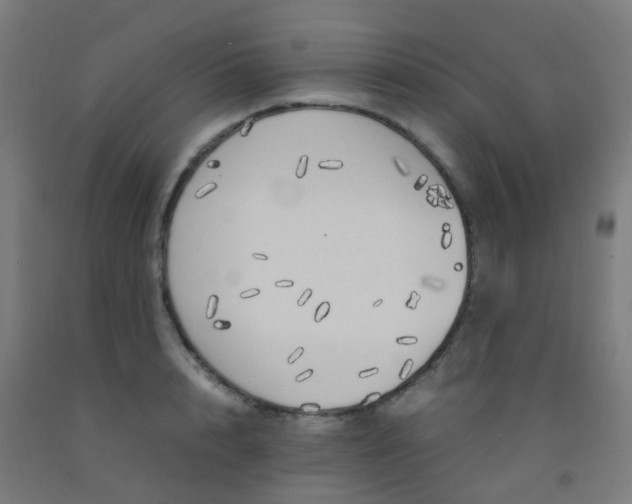 X0000092330848200709281425