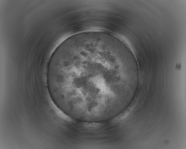X0000092330851200709281425