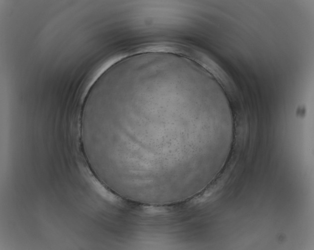 X0000092330852200709281425