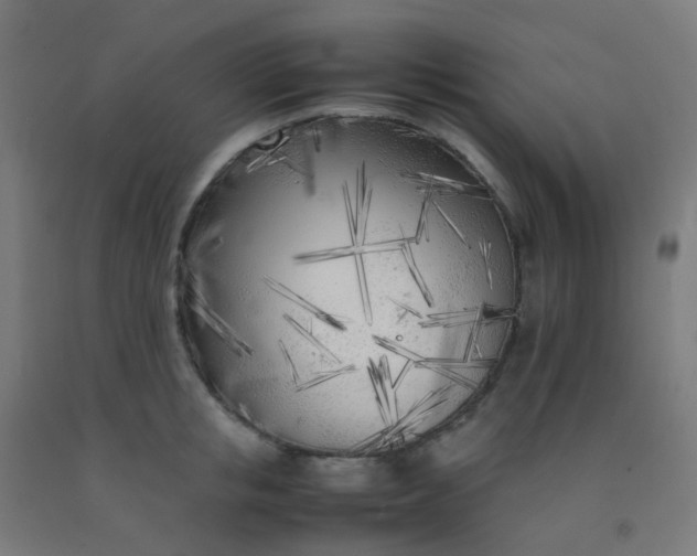 X0000092330853200709281425