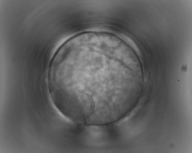 X0000092330855200709281425