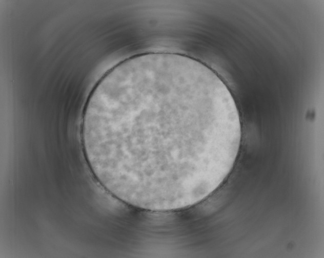 X0000092330856200709281425