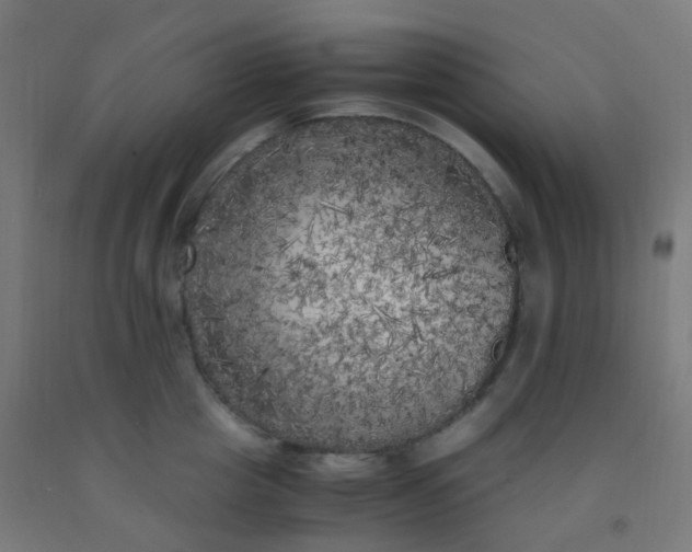 X0000092330857200709281425
