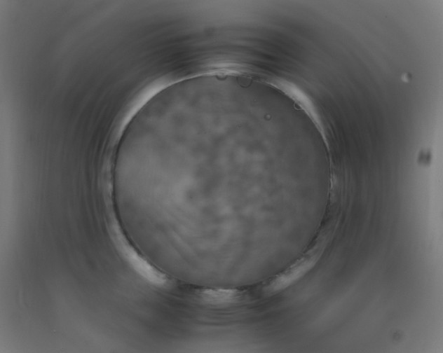 X0000092330859200709281425