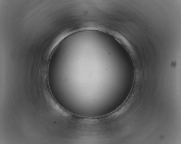 X0000092330860200709281425
