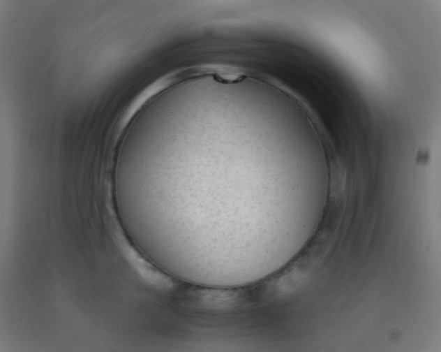 X0000092330861200709281425