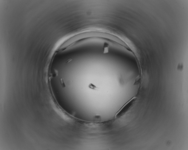X0000092330862200709281425