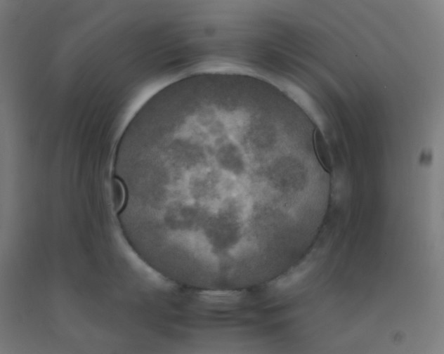 X0000092330863200709281425