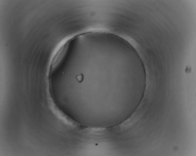 X0000092330864200709281425