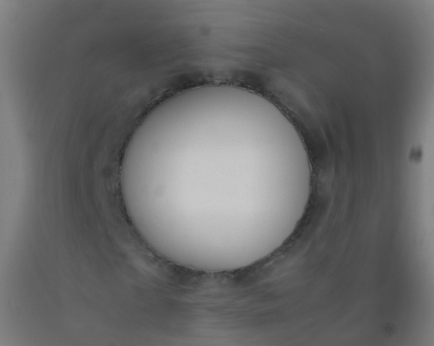 X0000092330865200709281424