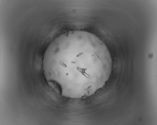 X0000092330866200709281424
