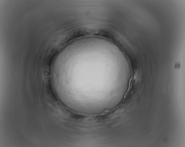X0000092330867200709281424