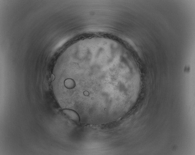 X0000092330871200709281424