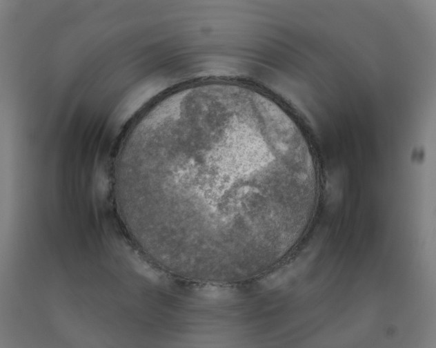 X0000092330874200709281424