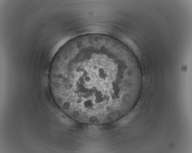 X0000092330875200709281424