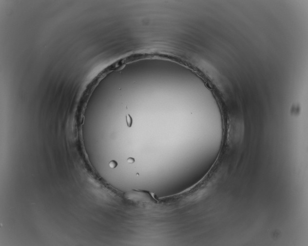 X0000092330876200709281424