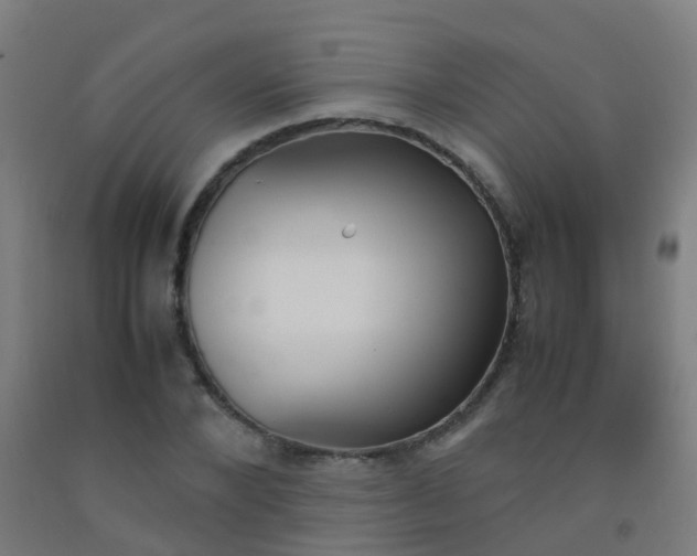 X0000092330880200709281424