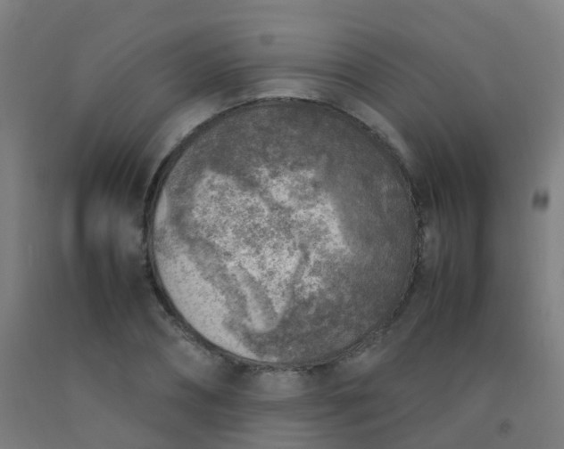 X0000092330882200709281424
