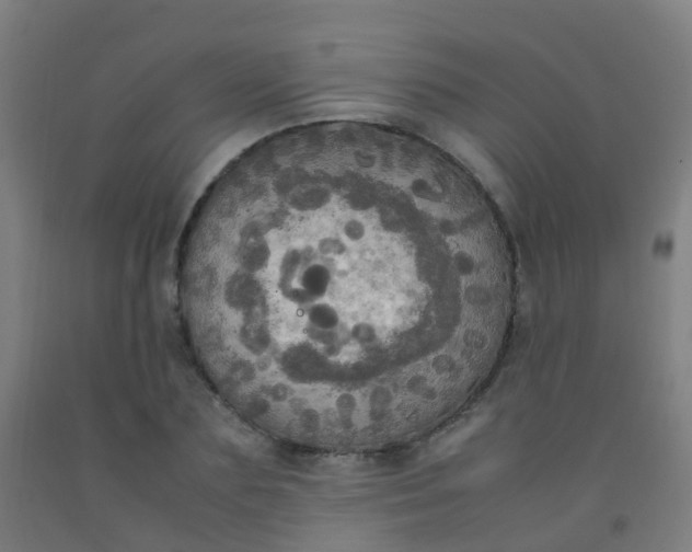 X0000092330883200709281424