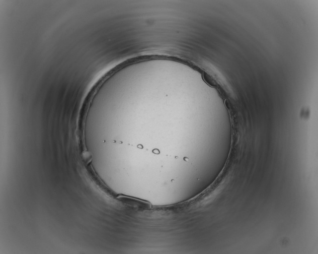 X0000092330884200709281424