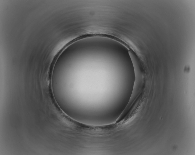 X0000092330885200709281424