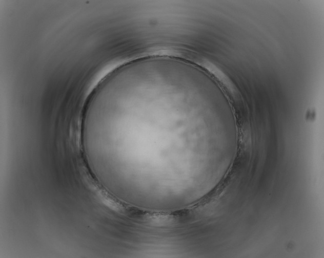 X0000092330886200709281424