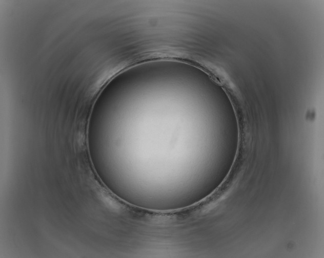 X0000092330889200709281424