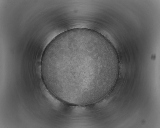 X0000092330890200709281424