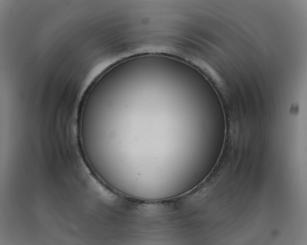 X0000092330894200709281424