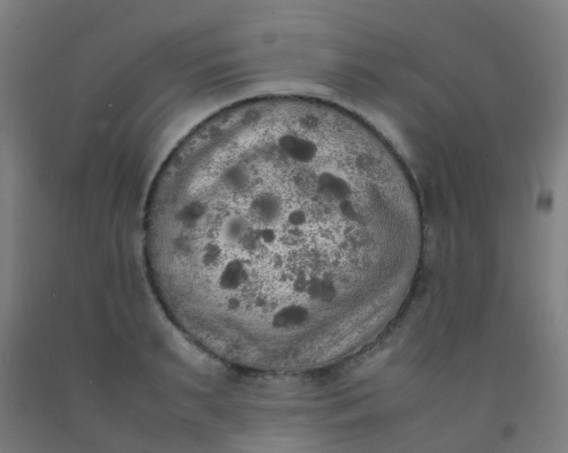 X0000092330895200709281424