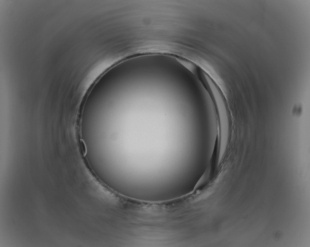 X0000092330901200709281424