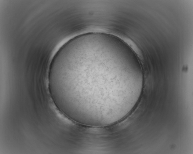 X0000092330904200709281424