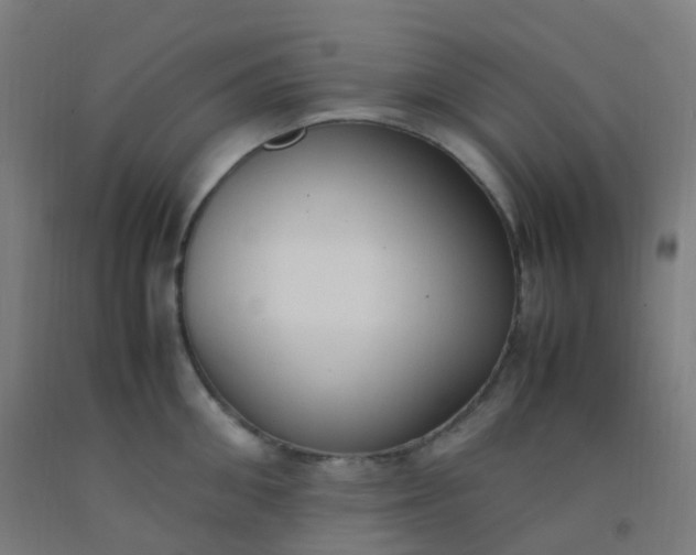 X0000092330906200709281424