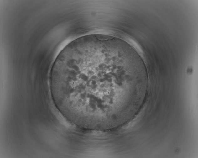 X0000092330907200709281424