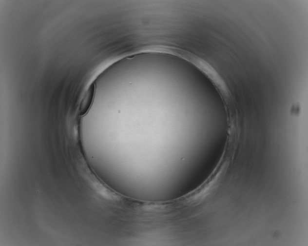 X0000092330908200709281424