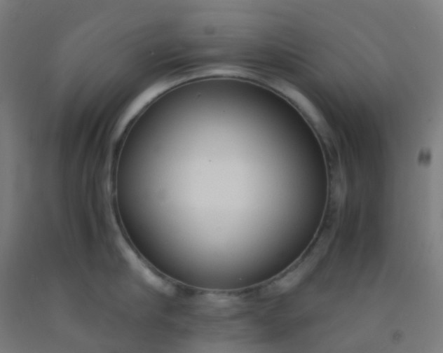 X0000092330910200709281424